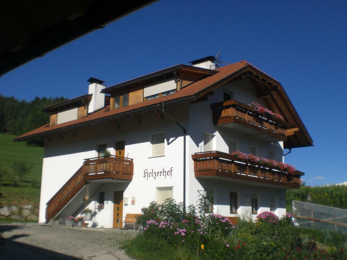 Holzerhof Lothen Campolino 5 Sankt Lorenzen المظهر الخارجي الصورة